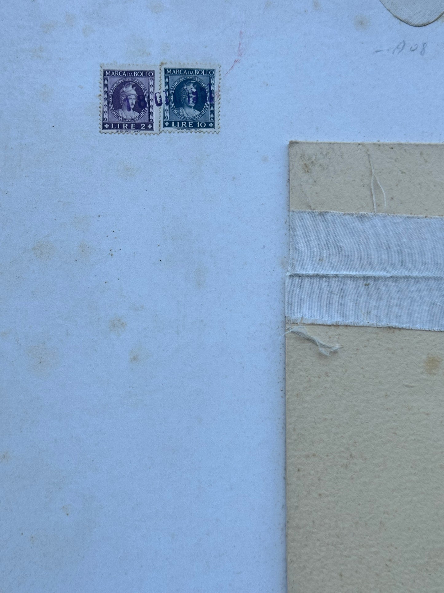 Cartonato pubblicitario - Felce azzurra