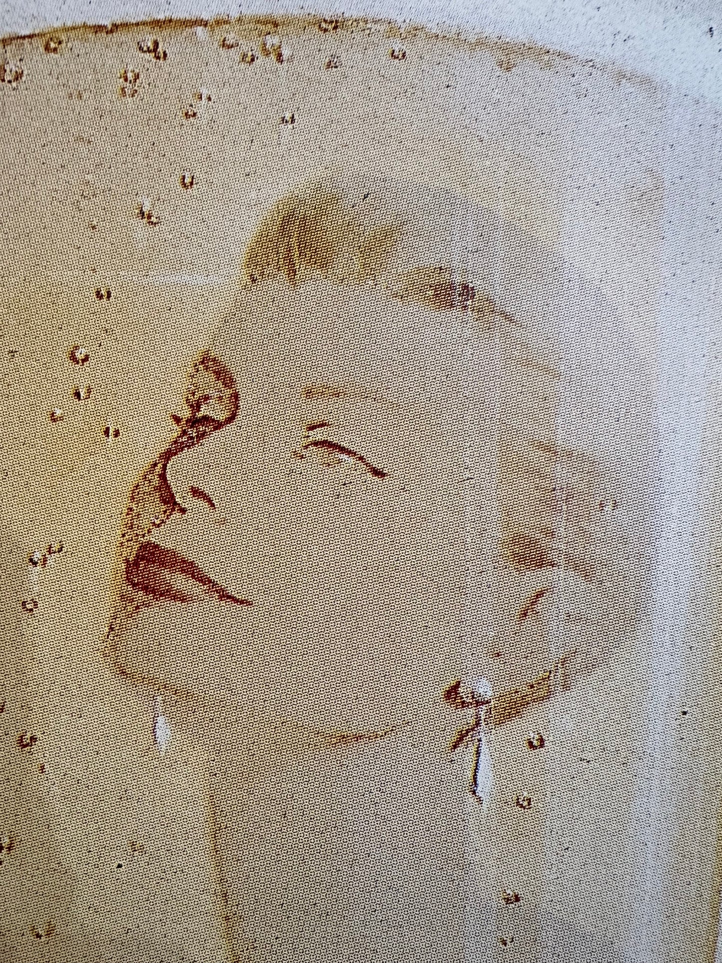 Manifesto pubblicitario originale - Champagne Taittinger Grace Kelly