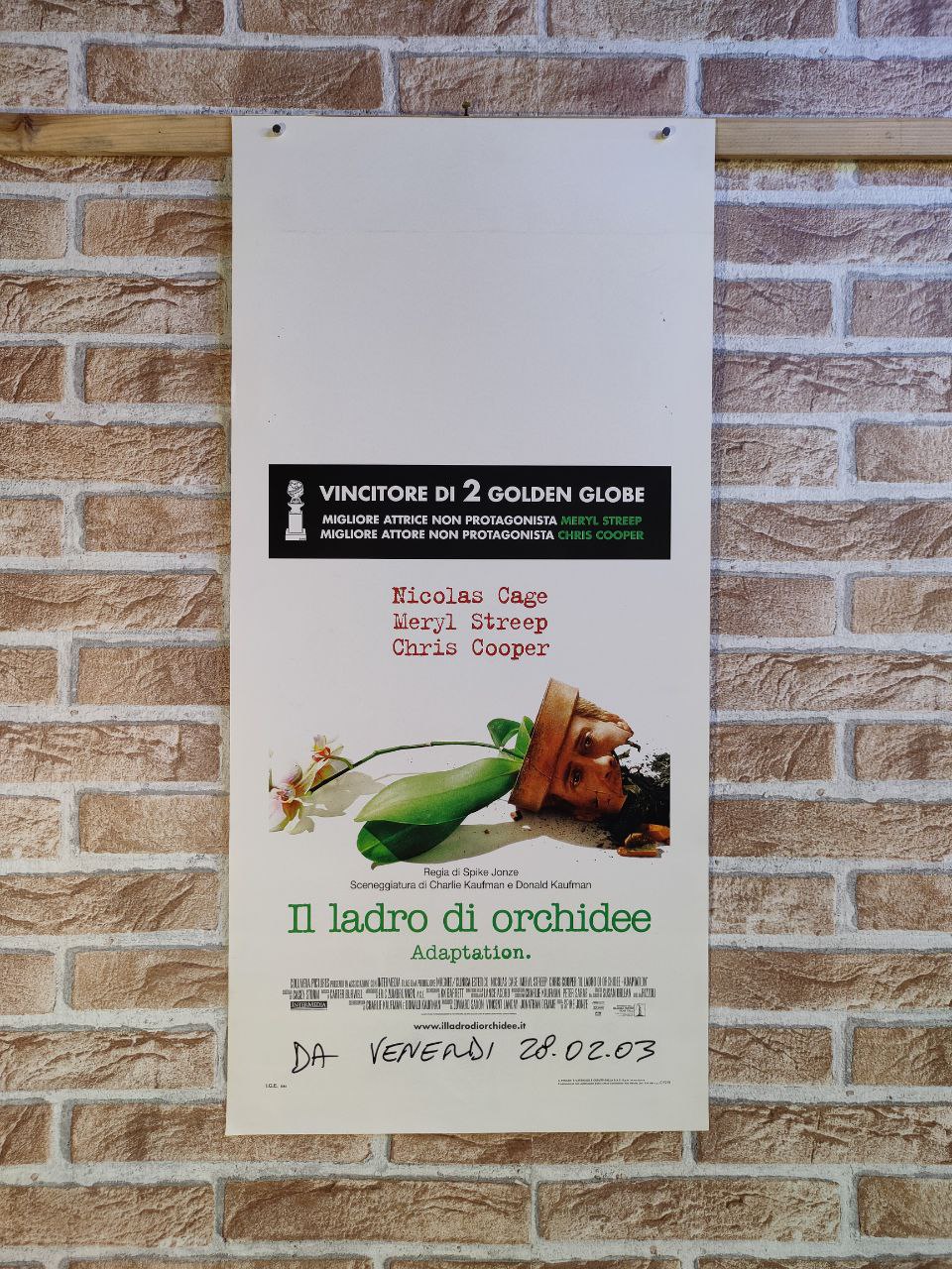 Locandina originale di cinema - Il ladro di orchidee