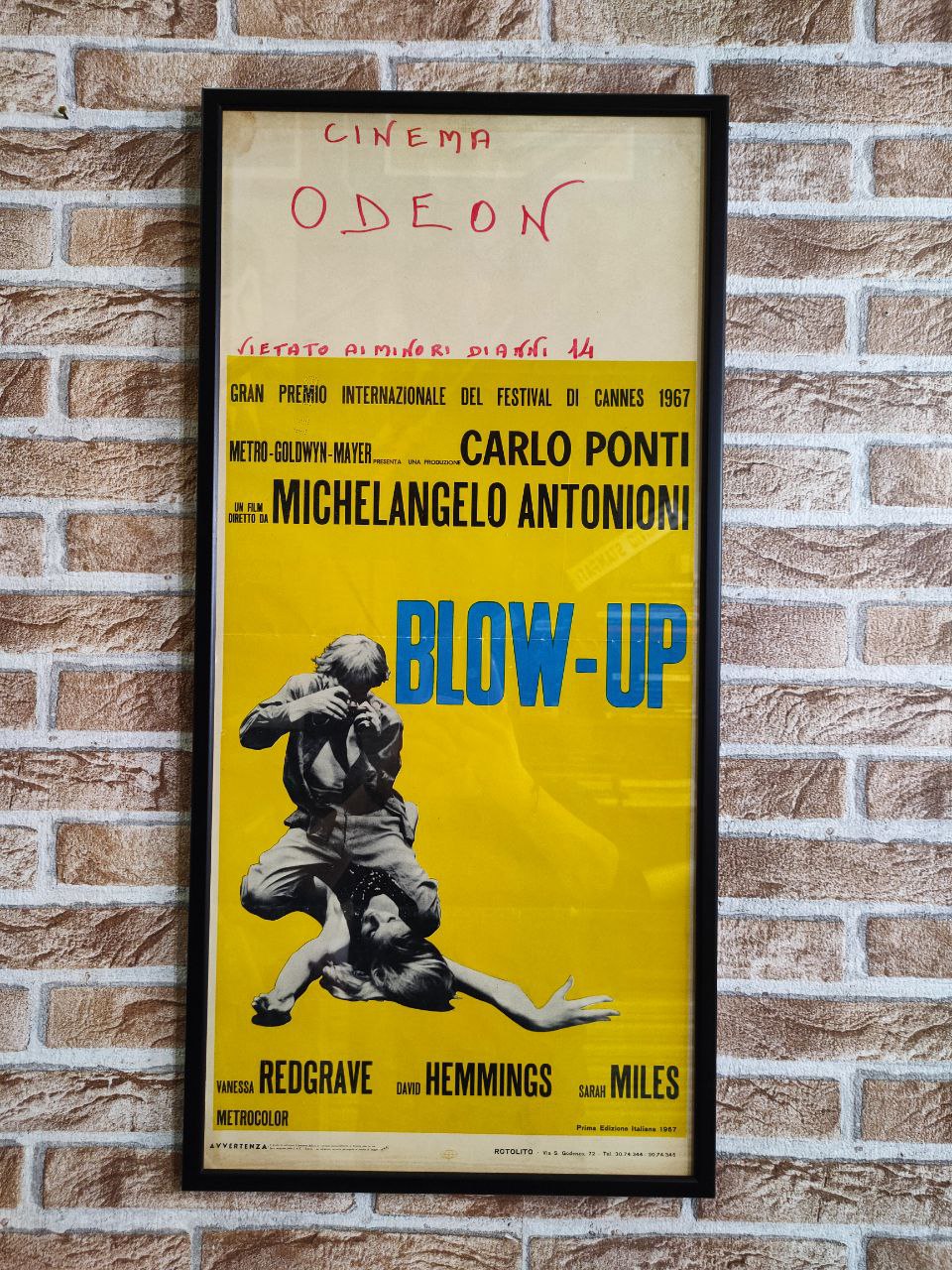Locandina originale di cinema - Blow-Up