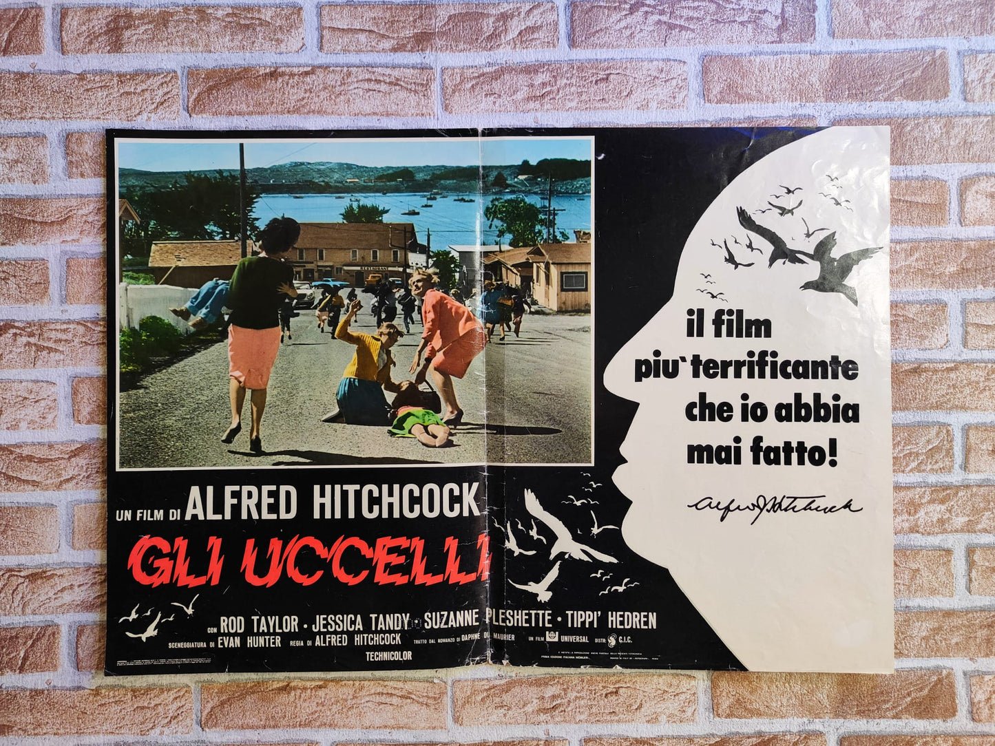 Fotobusta di cinema originale d'epoca - Gli Uccelli Tortona4Arte