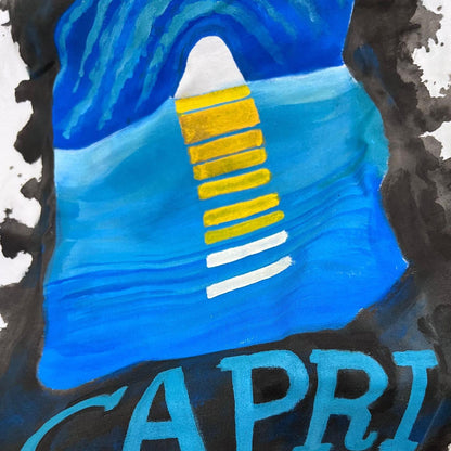 🔹 CAPRI