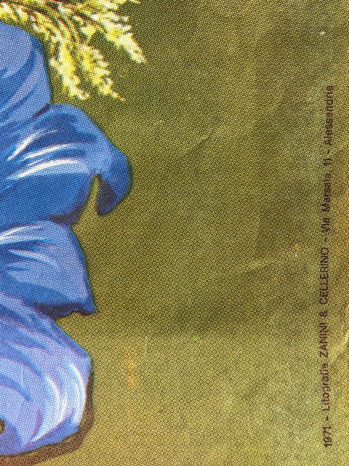 Manifesto pubblicitario originale - Aresca dal fiore al liquore