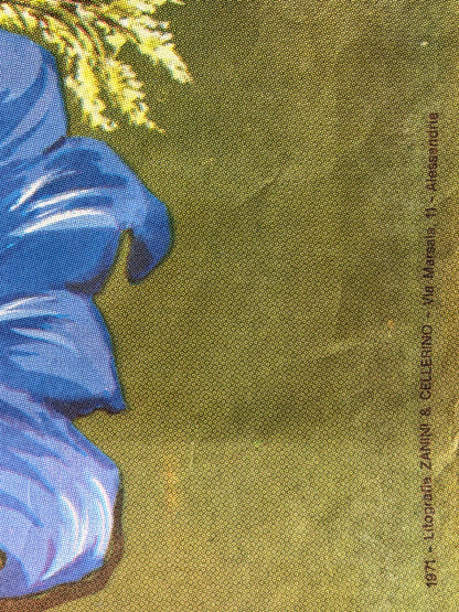Manifesto pubblicitario originale - Aresca dal fiore al liquore