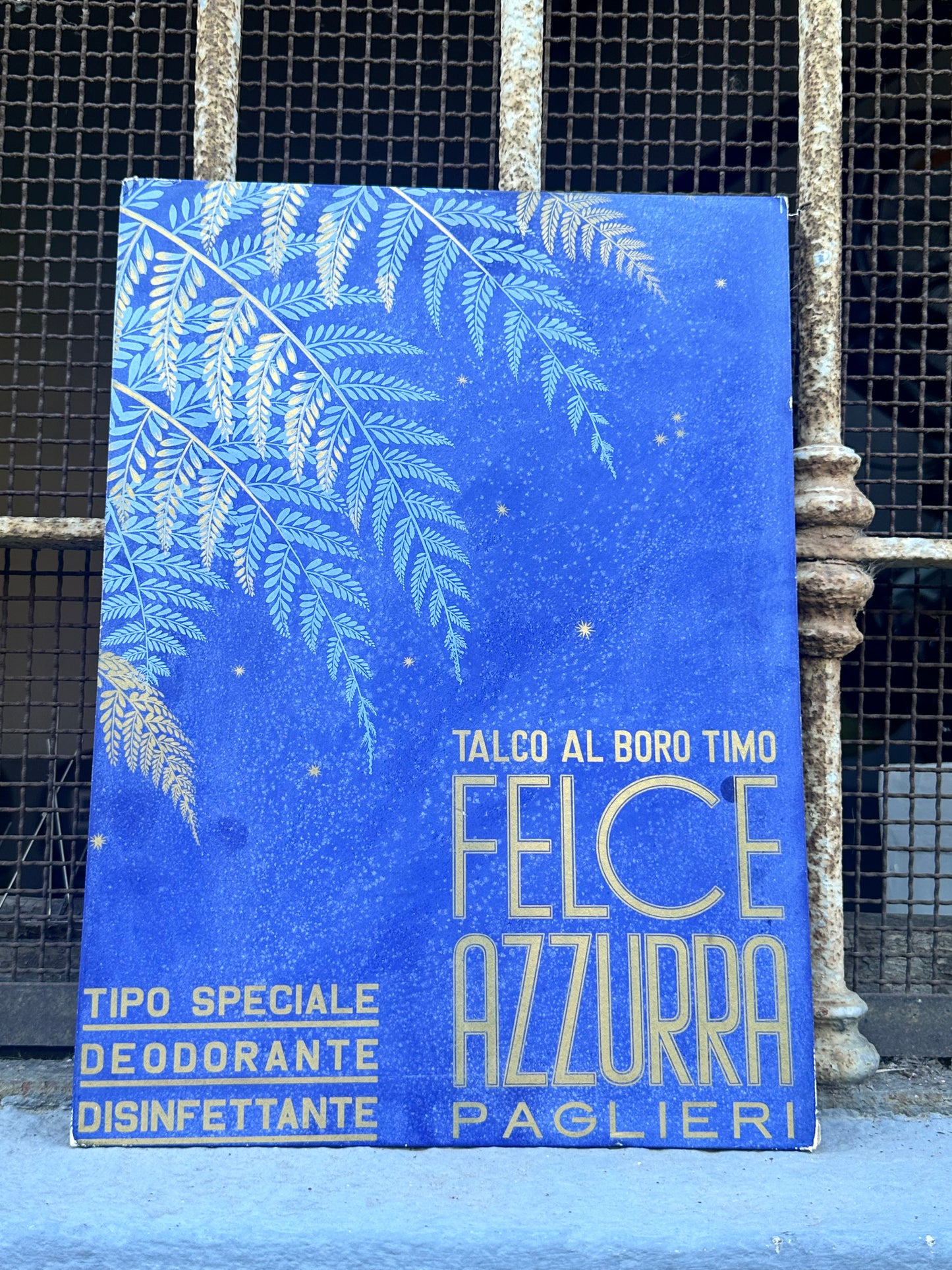 Cartonato pubblicitario - Felce azzurra