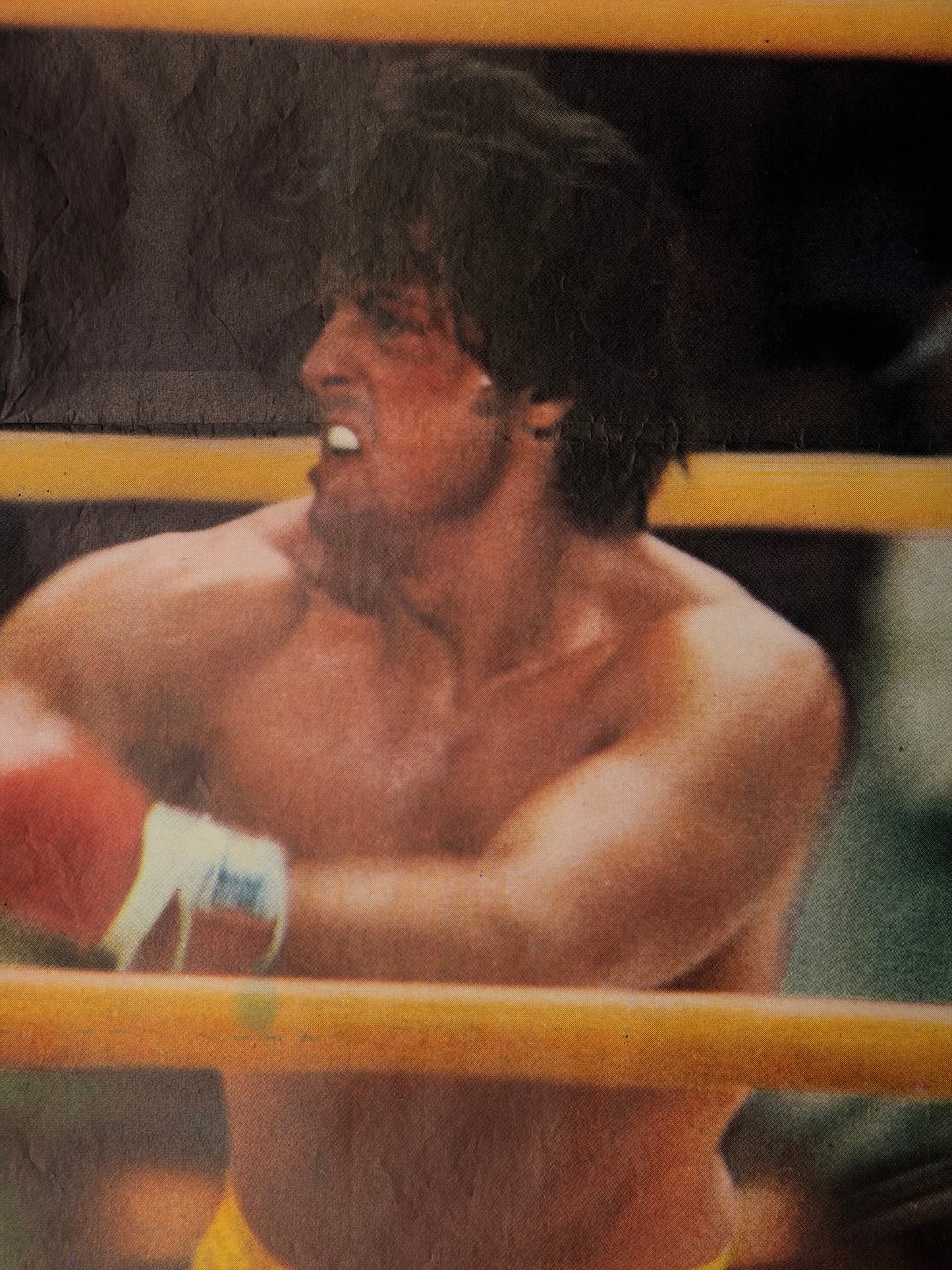 Manifesto di cinema - Rocky Il