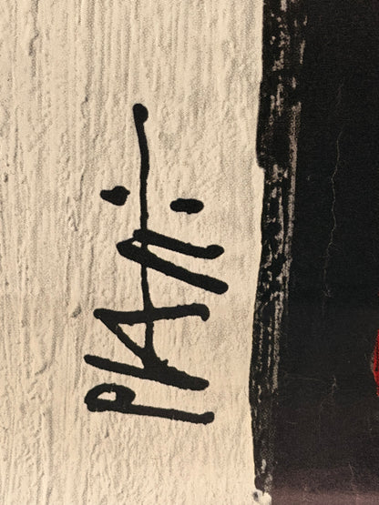 Manifesto pubblicitario originale - Campari (erbe aromatiche)