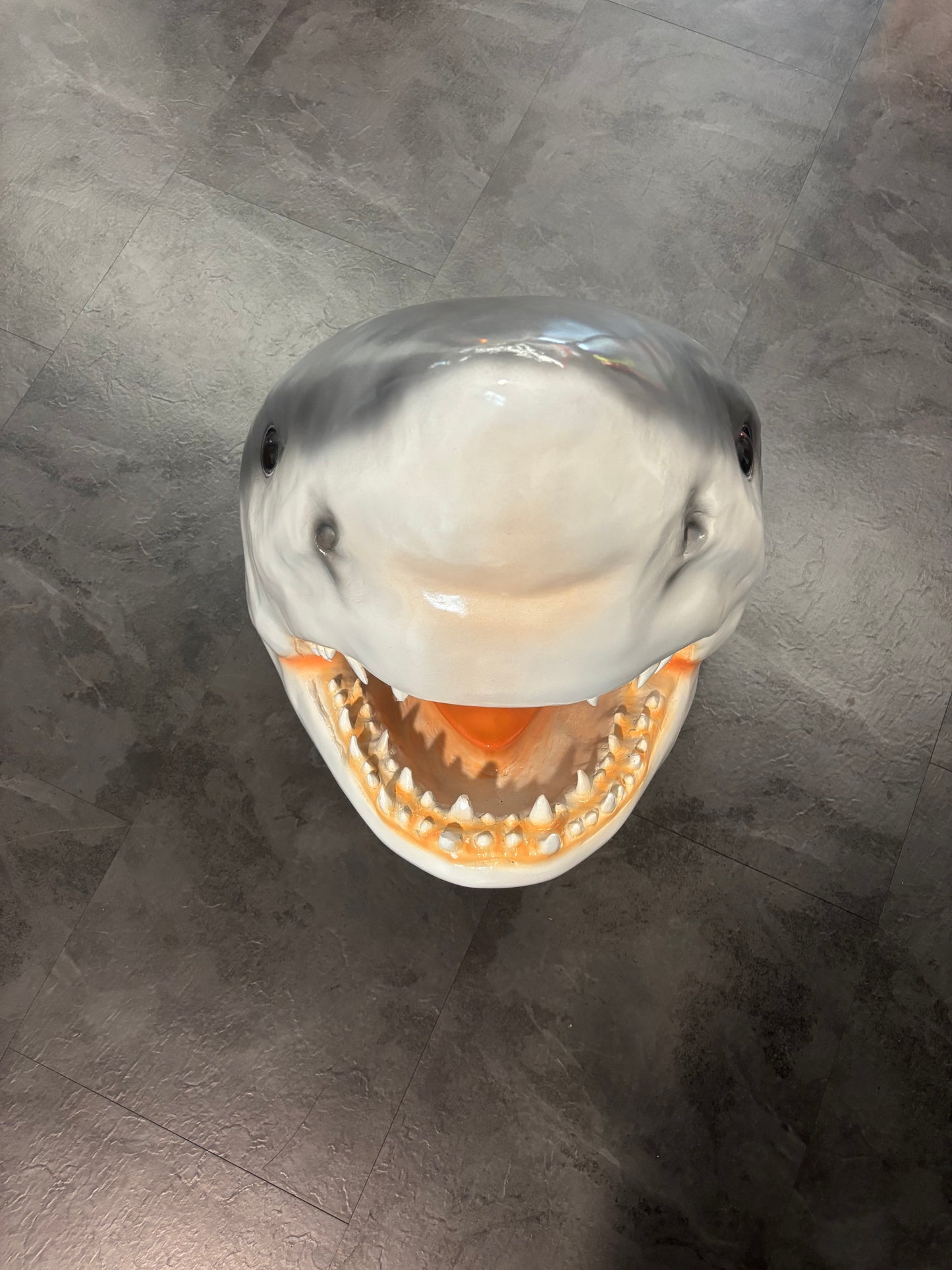 Statua Decorativa - Squalo