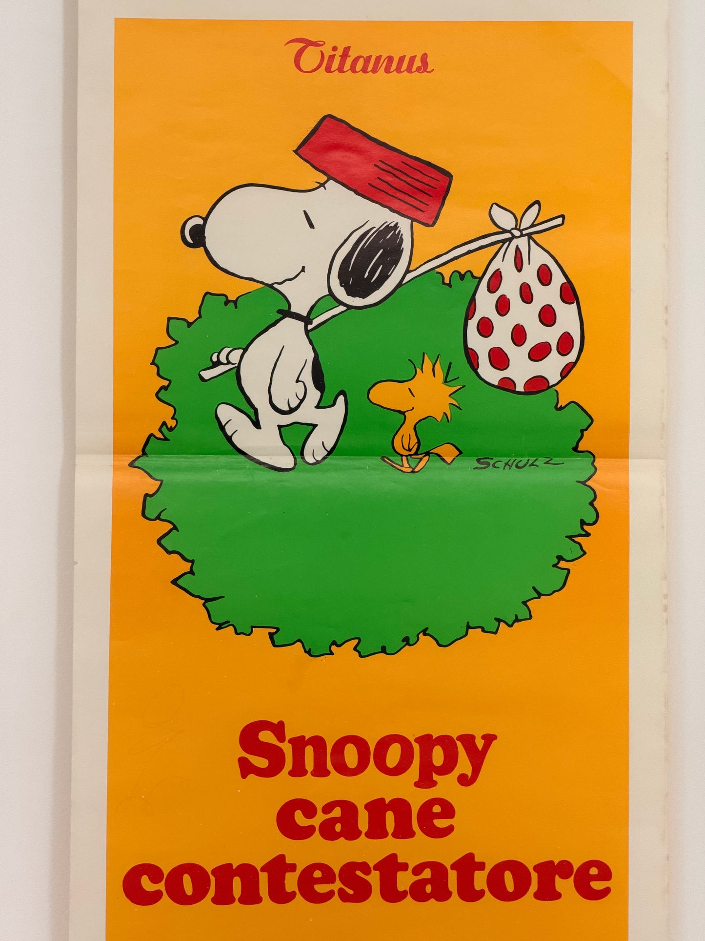 Locandina di cinema - Snoopy cane contestatore