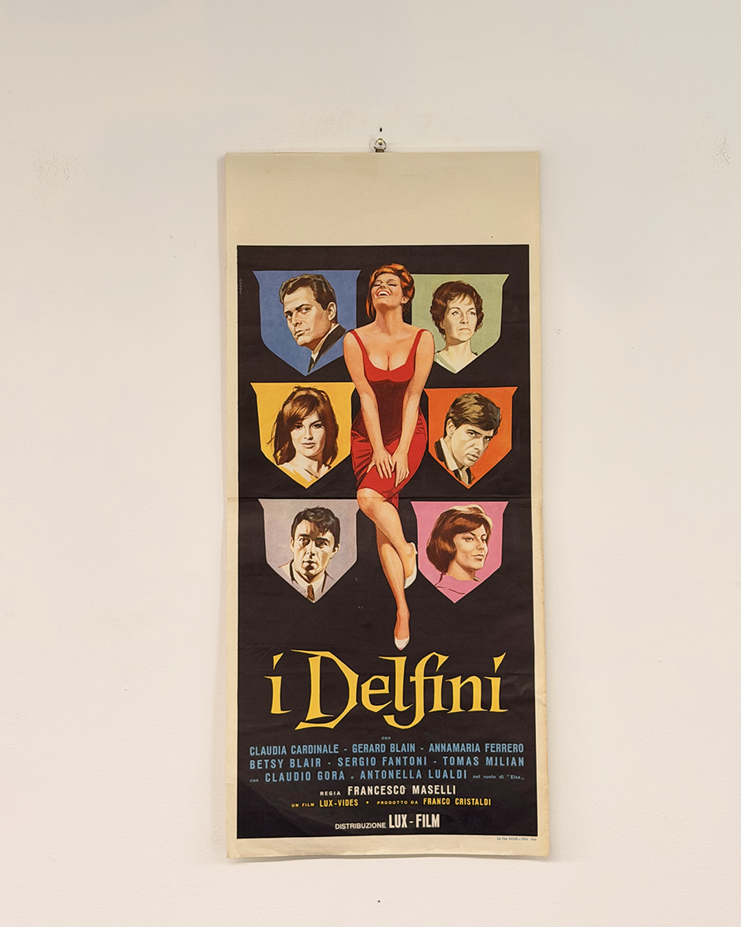 Locandina di cinema - I Delfini