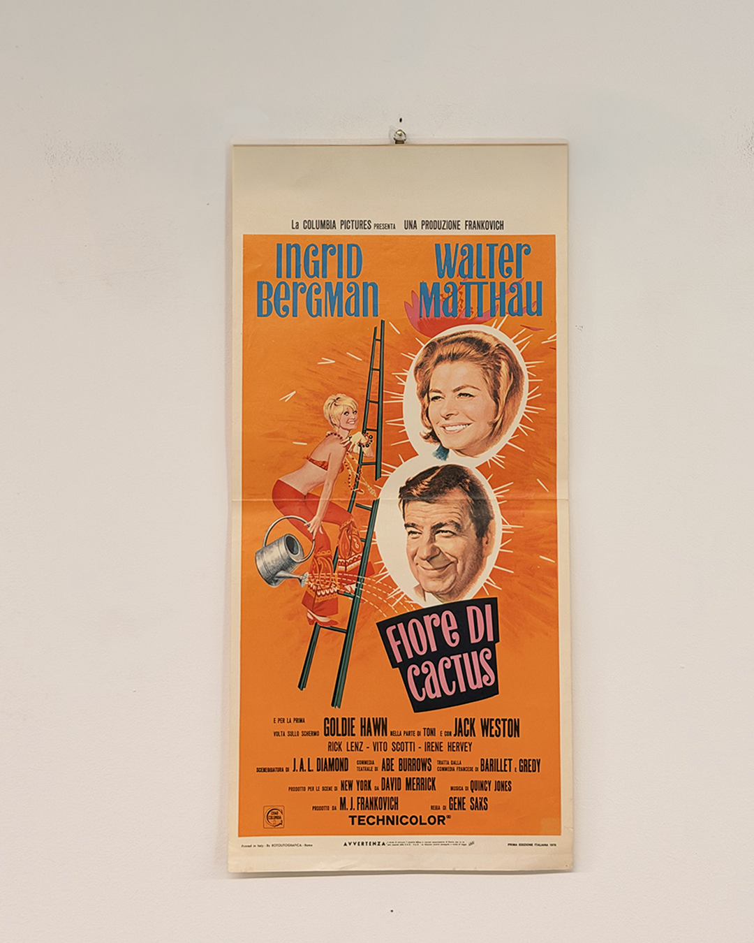 Locandina di cinema - Fiore di cactus