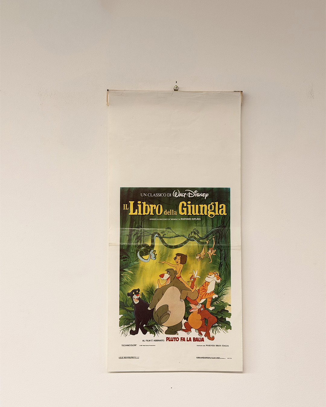 Locandina di cinema - Il libro della Giungla