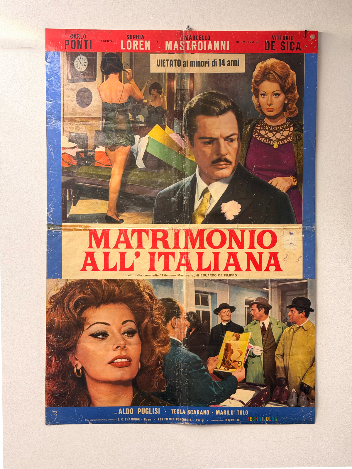 Manifesto di cinema - Matrimonio all'italiana - Sophia Loren