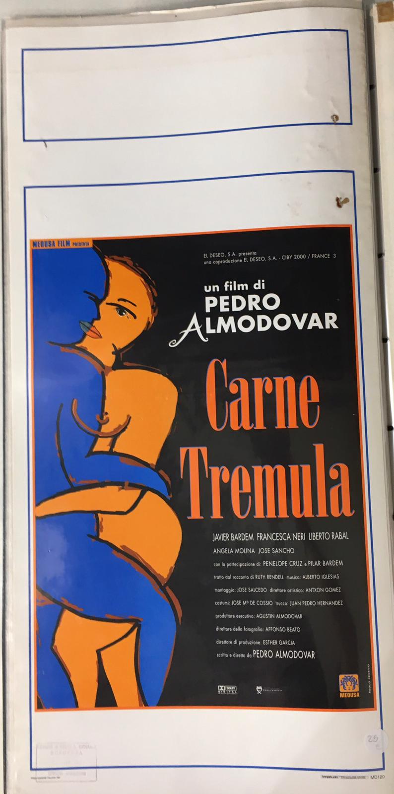 Locandina Di Cinema Originale D'Epoca Carne Tremula 1997 Tortona4Arte