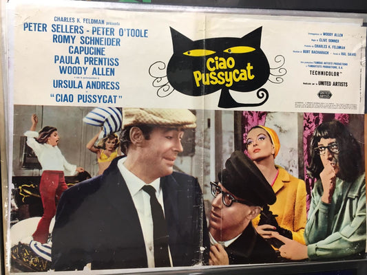 Fotobusta Di Cinema Originale D'Epoca Ciao Pussycat 1973 Tortona4Arte