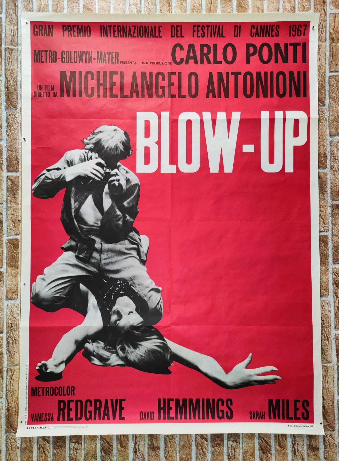 Manifesto di cinema originale d'epoca - Blow-Up Tortona4Arte